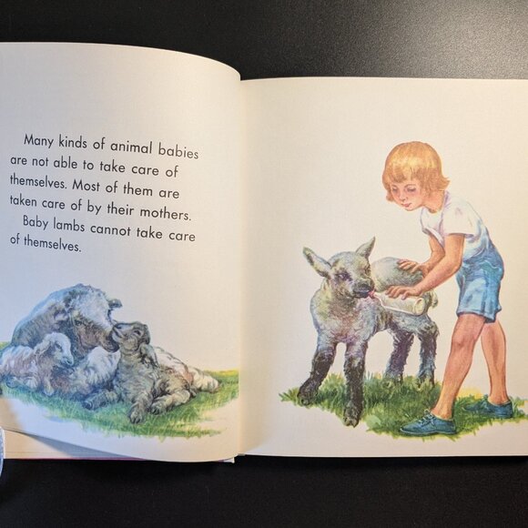I Want to Know About Animal Babies, Sounds & Moon, Sun & Stars by Illa Podendorf - Picture 5 of 16